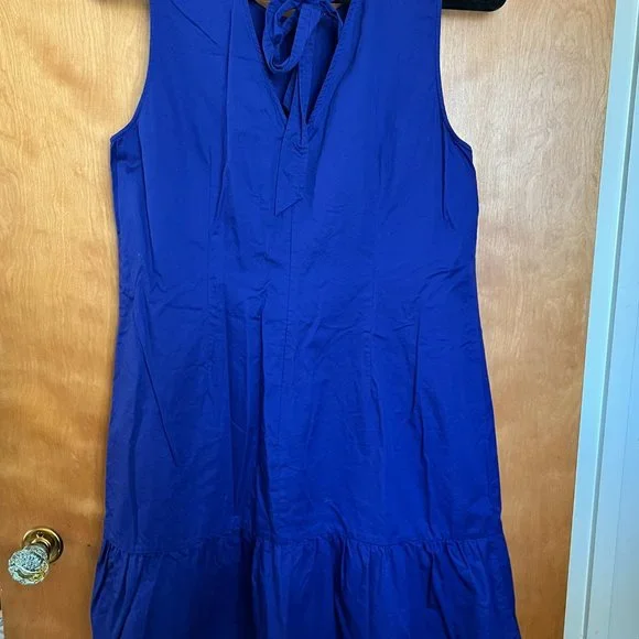 Royal Blue Cotton Sheath Dress // J. Crew Size L - Picture 4 of 5